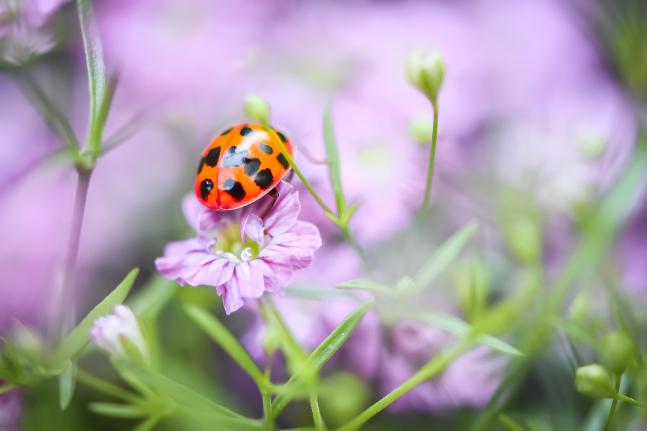 Garden Crafts for Kids to Cultivate their Green Thumb